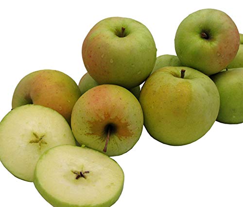 Algopix Similar Product 8 - Kauffman Orchards Homegrown Crispin