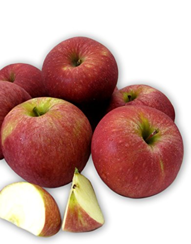 Algopix Similar Product 8 - Kauffman Orchards Homegrown Stayman