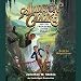 Algopix Similar Product 11 - Addison Cooke and the Treasure of the