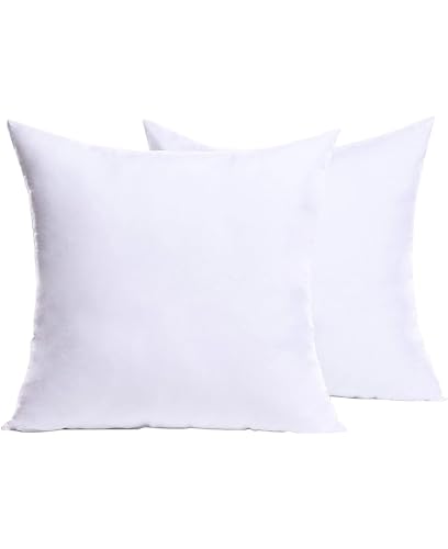 Algopix Similar Product 1 - Cozy Bed Euro Throw Pillows Insert