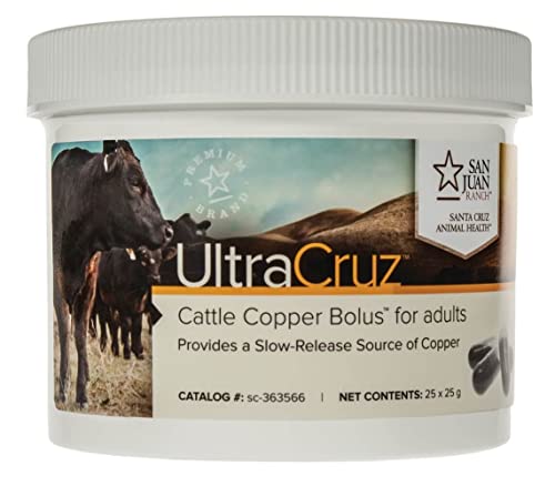 Algopix Similar Product 11 - UltraCruz  sc363566 Cattle Copper