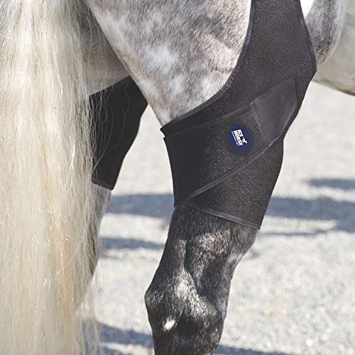 Algopix Similar Product 13 - Ice Horse Pair of Stifle Wraps for