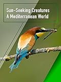 Algopix Similar Product 19 - SunSeeking Creatures  A Mediterranean