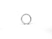 Algopix Similar Product 6 - INA Seal, single lip (INA-GR5X10X2-B)