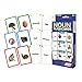 Algopix Similar Product 8 - Junior Learning Noun Flash Cards