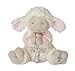 Algopix Similar Product 6 - Ganz Serenity Lamb with Crib Cross