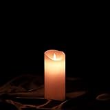 Algopix Similar Product 10 - ETRONIC Real Wax 3D Dancing Flame