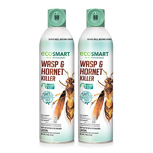 Algopix Similar Product 13 - 2Pack EcoSMART Organic Wasp and Hornet