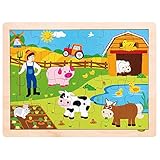 Algopix Similar Product 13 - Imagination Generation Professor
