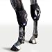 Algopix Similar Product 17 - Ice Horse Pair Hock Wraps for Equine