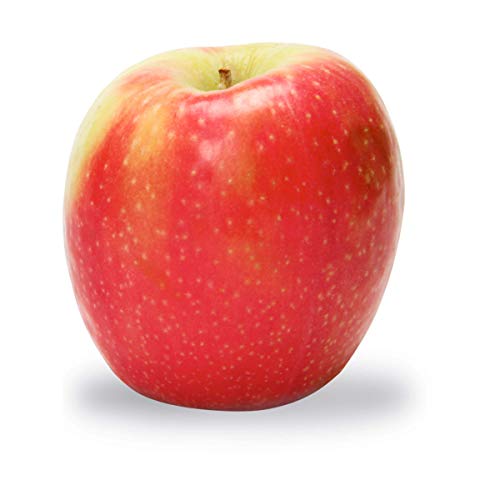 Algopix Similar Product 20 - PRODUCE Organic Pink Criips Apples Bag
