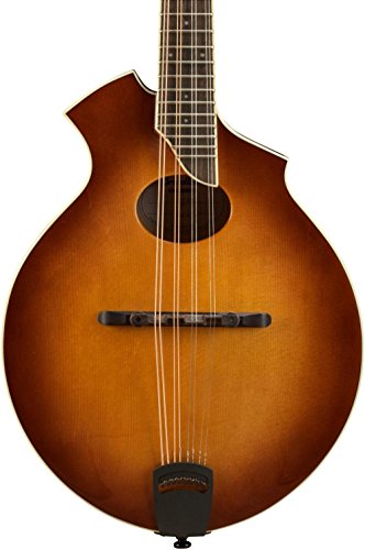 Algopix Similar Product 20 - Breedlove Crossover KO Mandolin Sunburst