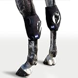 Algopix Similar Product 5 - Ice Horse Single Hock Wraps for Equine