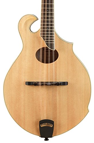 Algopix Similar Product 12 - Breedlove Crossover FO Mandolin Sunburst
