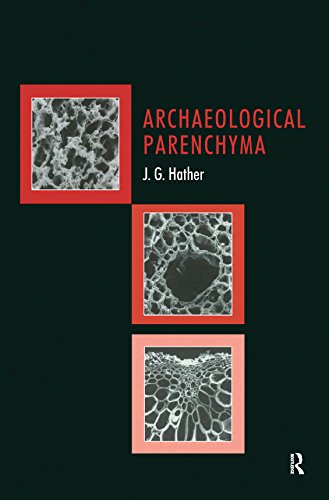 Algopix Similar Product 20 - Archaeological Parenchyma UCL