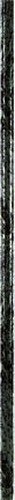 Algopix Similar Product 4 - Dabmar Lighting PT10VG 10 Steel