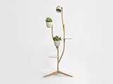 Algopix Similar Product 18 - BranchOut Deluxe Set  standing