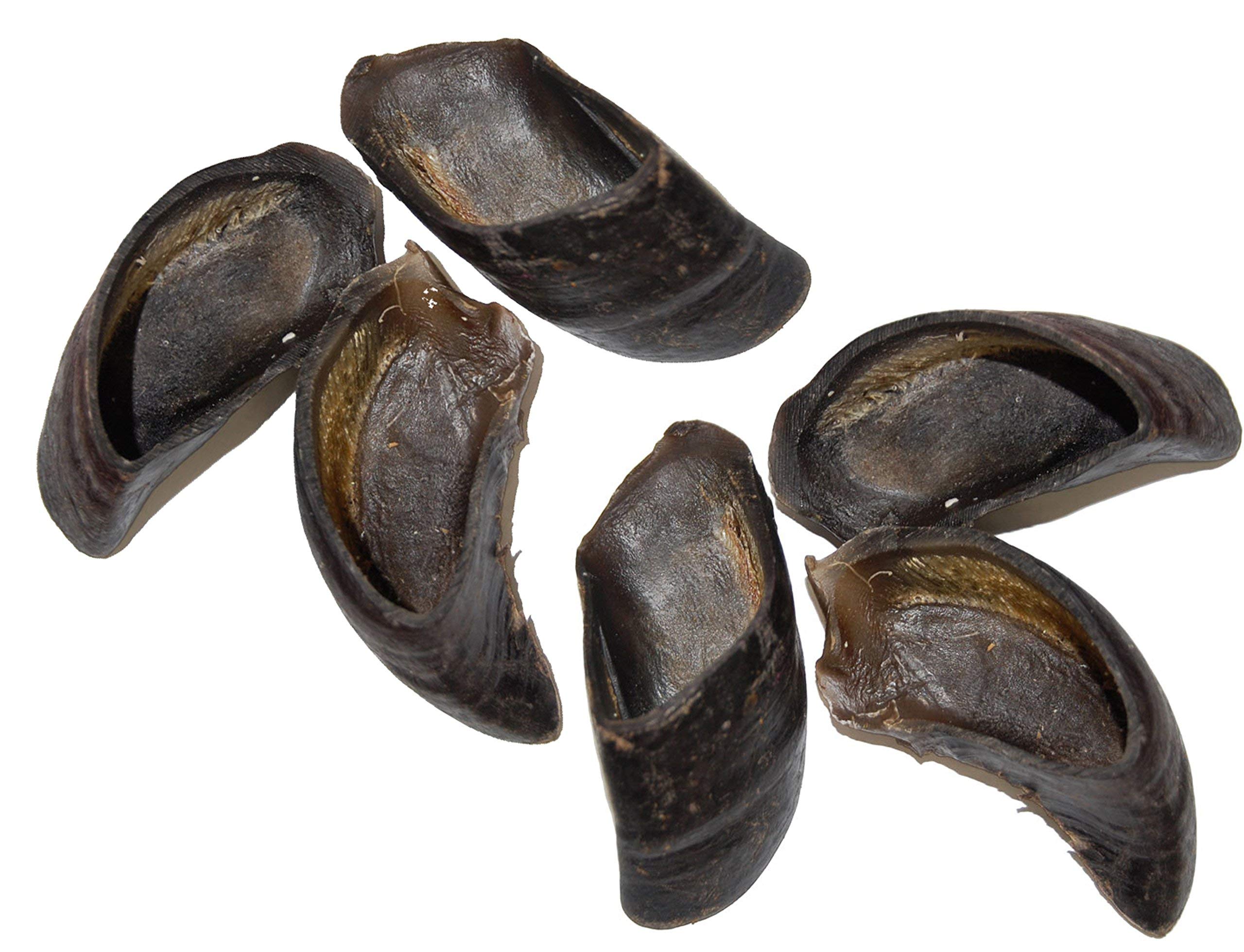 Algopix Similar Product 1 - Butcher Shop 100 Cow Hooves 6 Pack