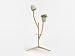 Algopix Similar Product 12 - BranchOut Set  standing stands