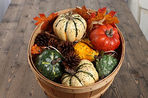 Algopix Similar Product 16 - Factory Direct Craft Artificial Autumn