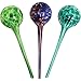 Algopix Similar Product 5 - Wyndham House Plant Watering Globe Set
