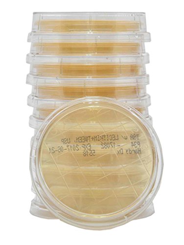 Algopix Similar Product 7 - Hardy Diagnostics P34 Tryptic Soy Agar