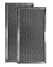 Algopix Similar Product 18 - 2Pack Air Filter Factory Replacement