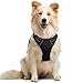 Algopix Similar Product 10 - rabbitgoo Dog Harness No Pull with 2