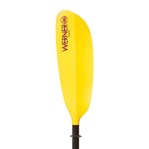Algopix Similar Product 1 - Werner Skagit FG IM Fiberglass 2Piece