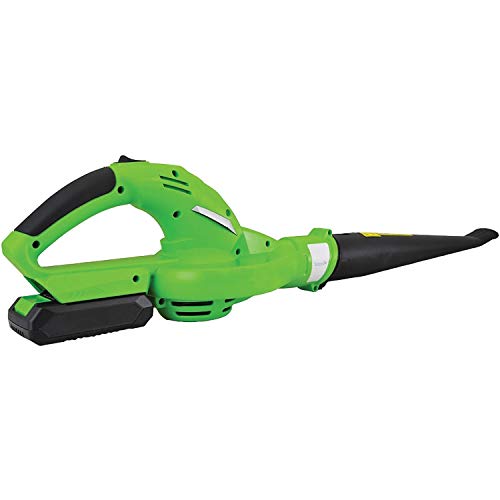 Algopix Similar Product 15 - SERENELIFE PSLHTM32 Electric Leaf