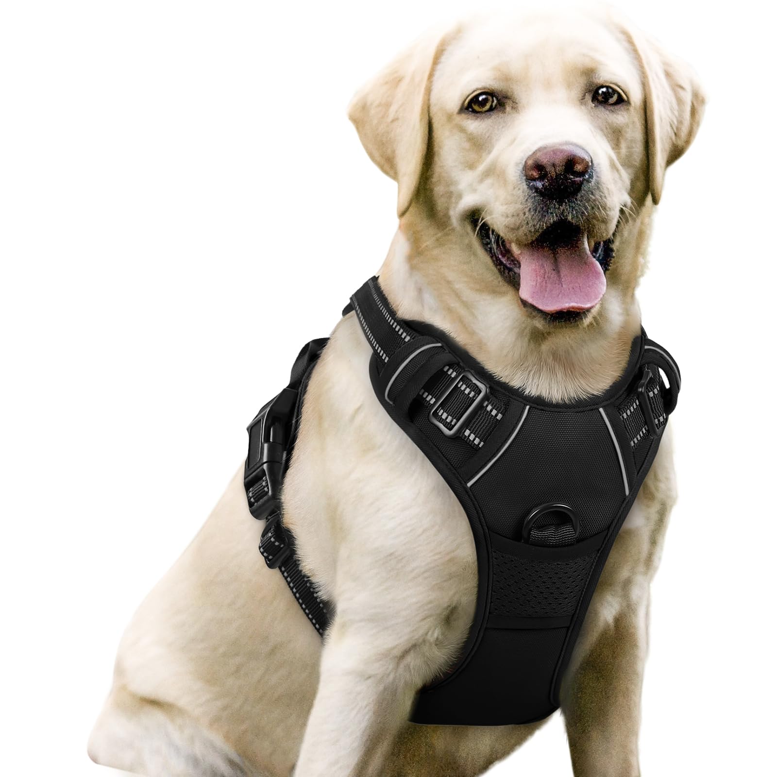Algopix Similar Product 12 - rabbitgoo Dog Harness No Pull with 2