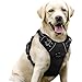 Algopix Similar Product 6 - rabbitgoo Dog Harness No Pull with 2