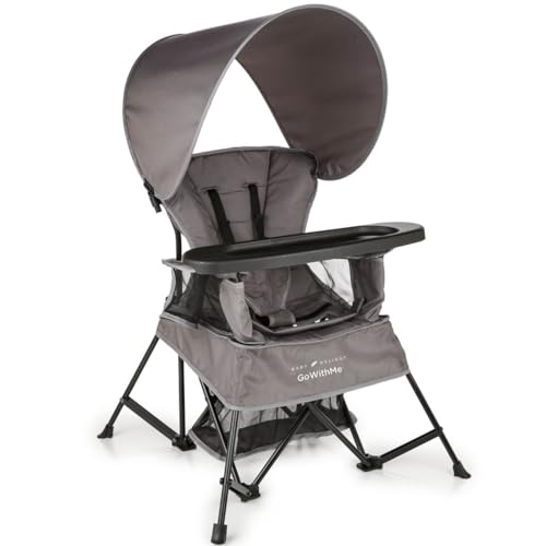 Algopix Similar Product 5 - Baby Delight Go with Me Venture