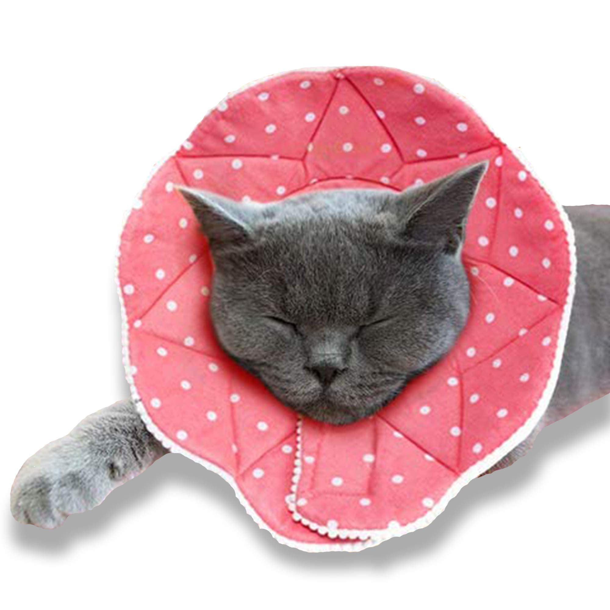 Algopix Similar Product 20 - SunGrow Cat Cone Collar Soft Pet