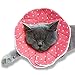 Algopix Similar Product 7 - SunGrow Cat Cone Collar Soft Pet