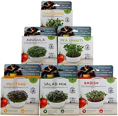 Algopix Similar Product 20 - Mini Microgreens Growing Kit  Variety