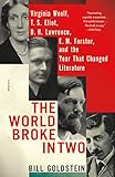 Algopix Similar Product 17 - The World Broke in Two Virginia Woolf