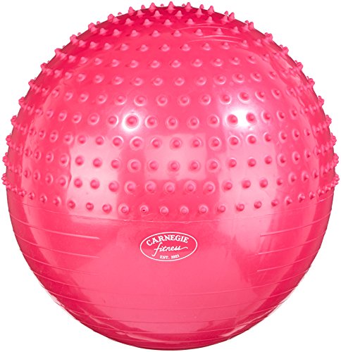 Algopix Similar Product 1 - Carnegie Gym Ball Diameter 65 cm