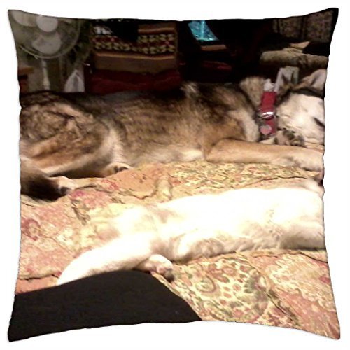 Algopix Similar Product 17 - Spirit and Tinkerbell  Throw Pillow
