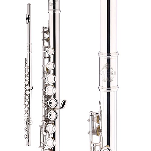 Algopix Similar Product 12 - Kaizer Flute C Key Closed Hole Nickel