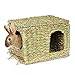 Algopix Similar Product 9 - SunGrow Chew Safe Rabbit  Ferret Grass