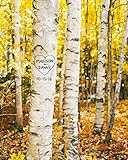 Algopix Similar Product 19 - Birch Trees Personalized Art Custom