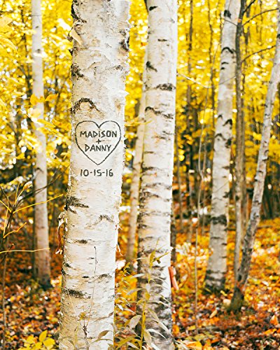 Algopix Similar Product 6 - Birch Trees Personalized Art Custom