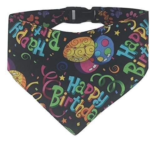 Algopix Similar Product 4 - Birthday Celebration 22 Large