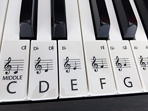 Algopix Similar Product 2 - CLEAR STANDARD pianokeyboard stickers