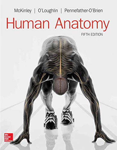 Algopix Similar Product 11 - Human Anatomy