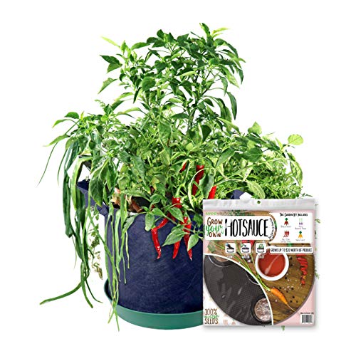 Algopix Similar Product 3 - Grow Your Own Hot Sauce Container