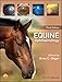 Algopix Similar Product 4 - Equine Ophthalmology