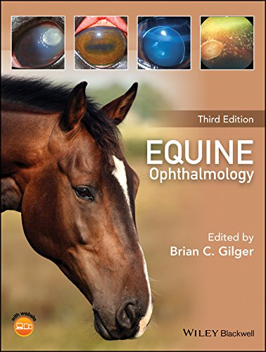 Algopix Similar Product 6 - Equine Ophthalmology