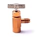 Algopix Similar Product 10 - Atoplee 1 Pc AC Refrigerant Can Bottle